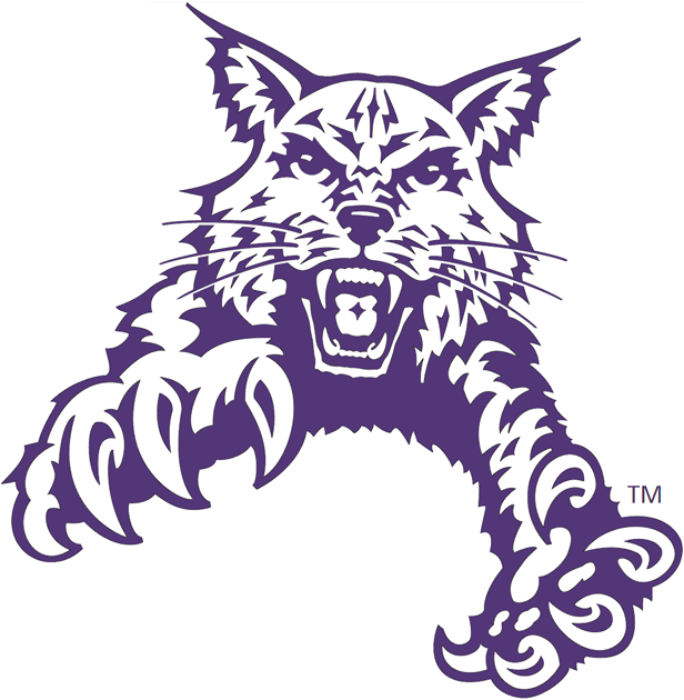 Abilene Christian Wildcats 1997-2012 Partial Logo t shirts DIY iron ons v2